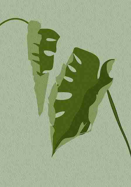 影像叙事 — 黑料网入口、黑料正能量往期、黑料官网、黑料社app下载官网 - 流量裂变秘籍