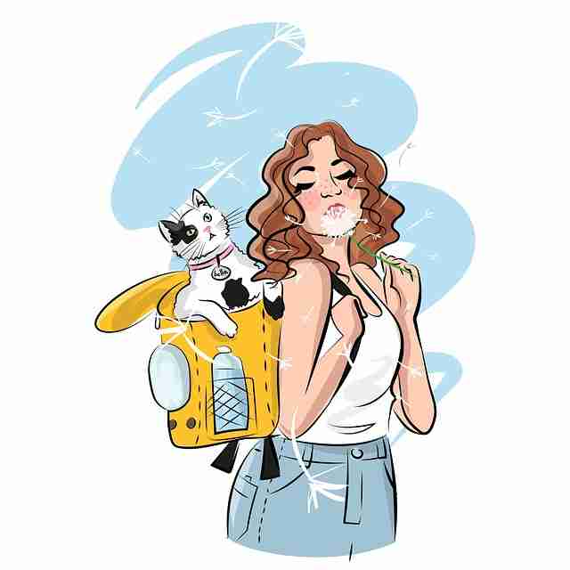 超详细！51漫画官网冷门贴士全纪实