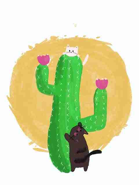 海角网址入口社区热议背后的安全提醒爆点整理