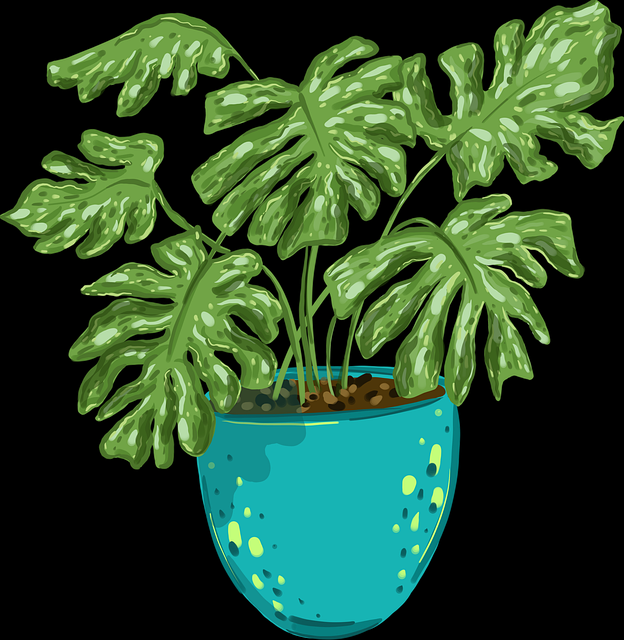 一文读懂黑料网入口成长轨迹，幕后揭秘视频合集