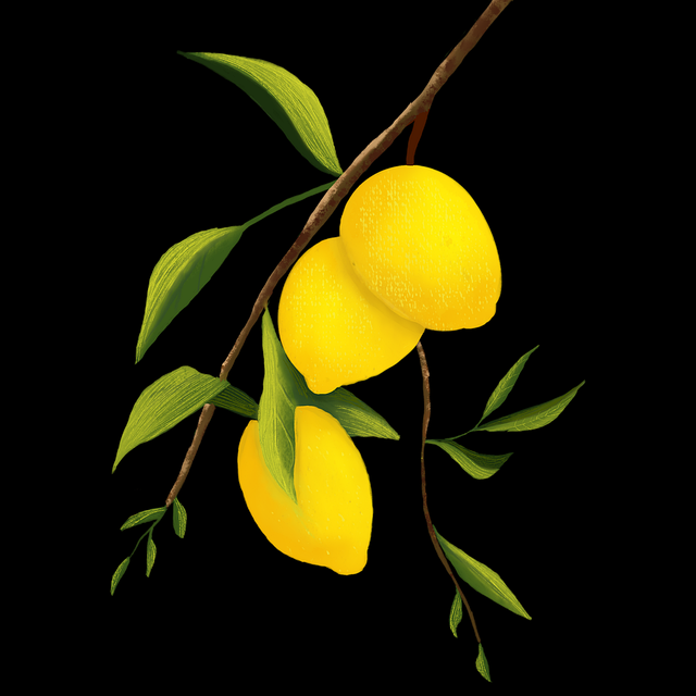 鉴黄师电脑版未来蓝图全网热议榜，社交热度全记录