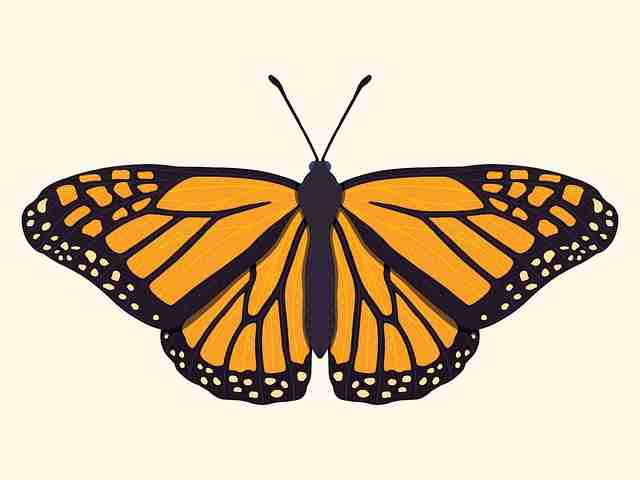 图解版：汤头条争议焦点冷静思考