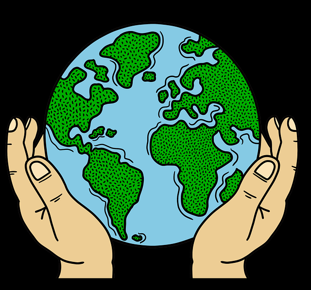 粉丝必藏:鉴黄师年度盘点爆点整理